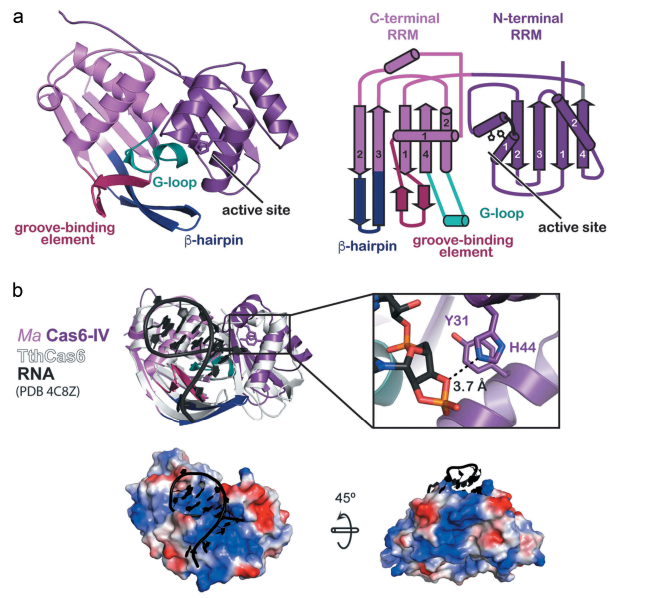 publication illustration
